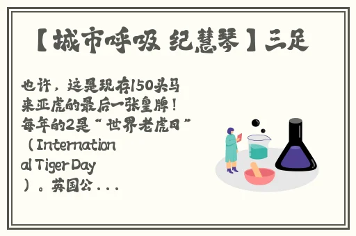 精品久久久久久中文字幕无码