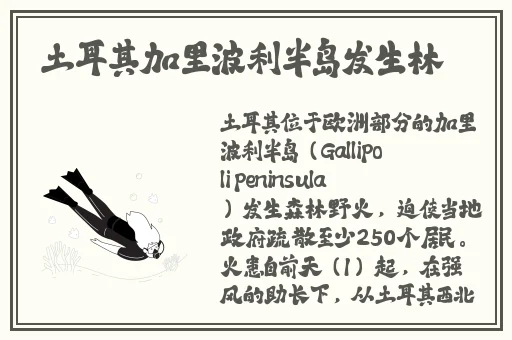 优质**攻略系统